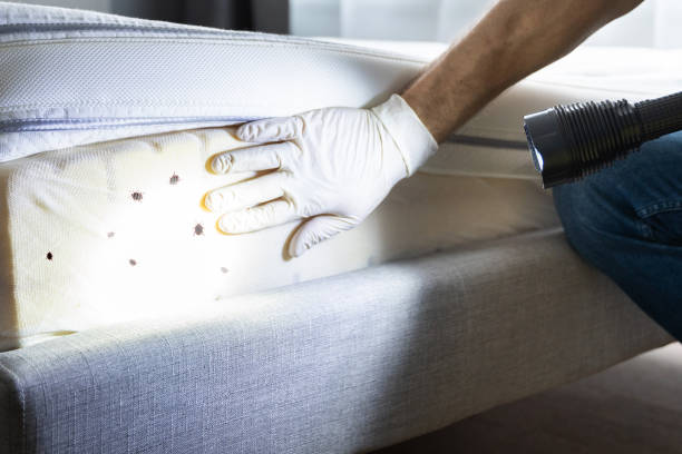 Best Pest Removal Services  in Woodlyn, PA