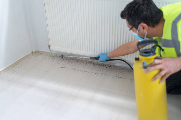 Best Local Pest Control Services  in Woodlyn, PA